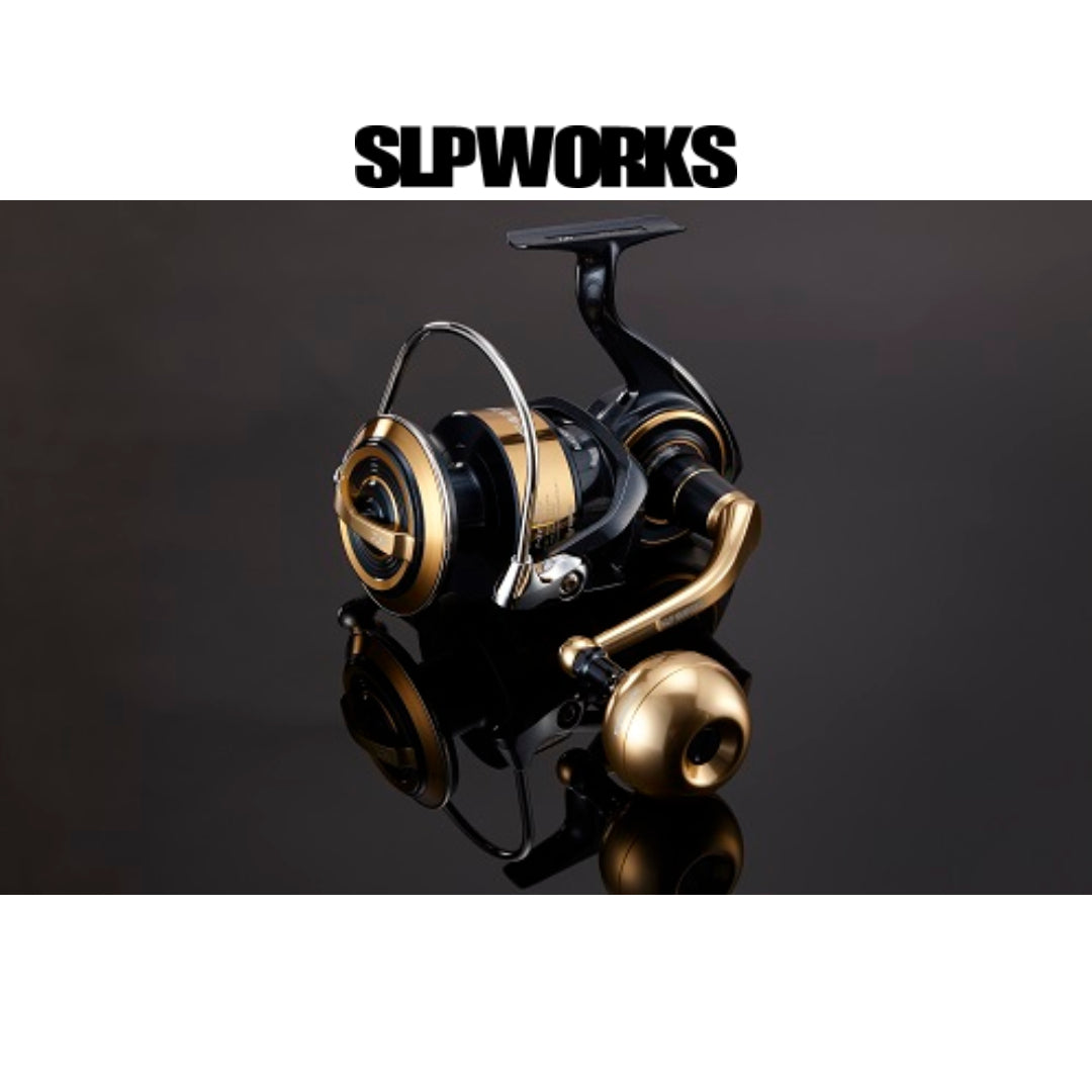Set Pegangan Daya Daiwa SLP Works