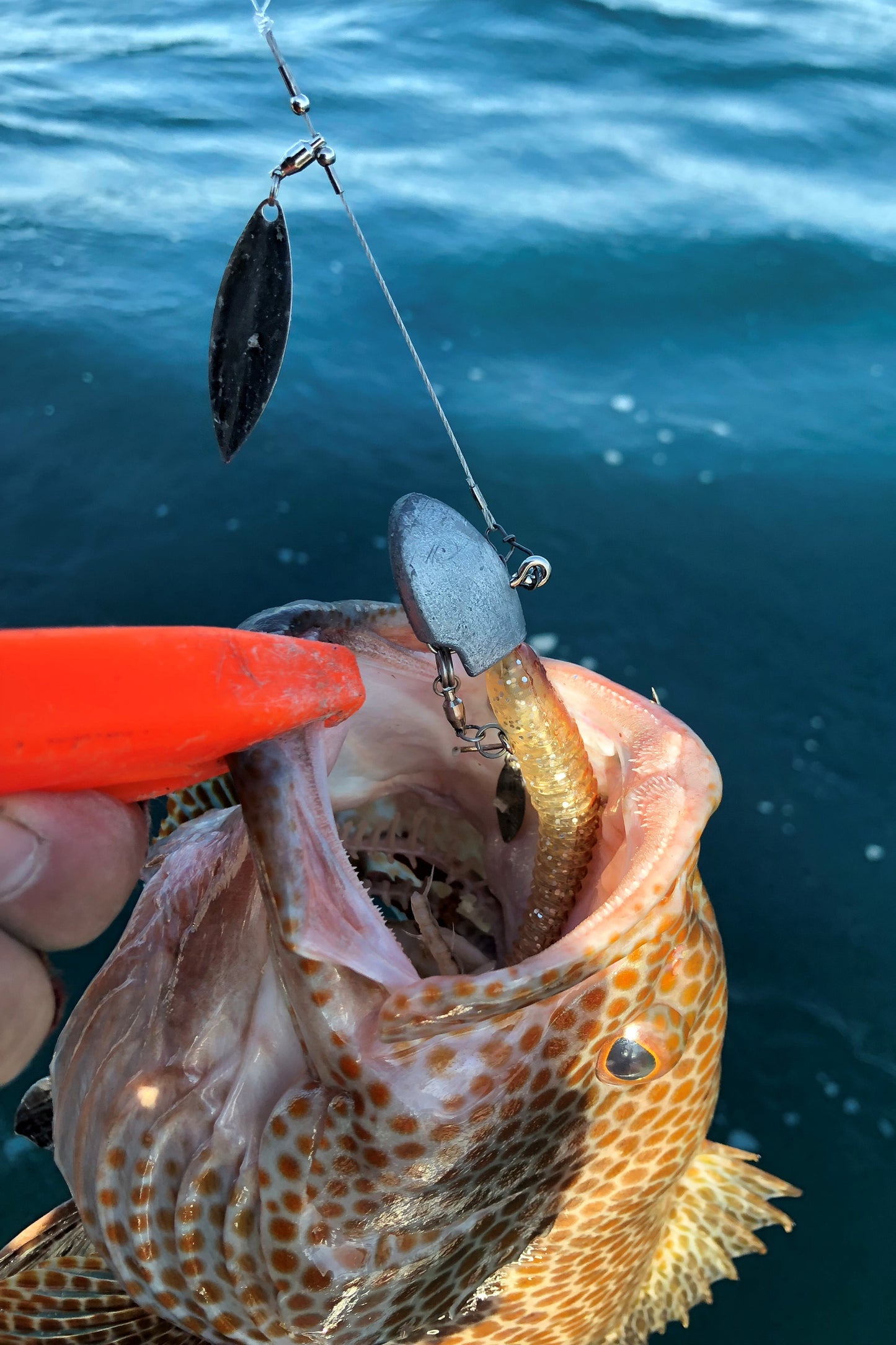 Umpan SV-34H Jig Head SG Head Berat