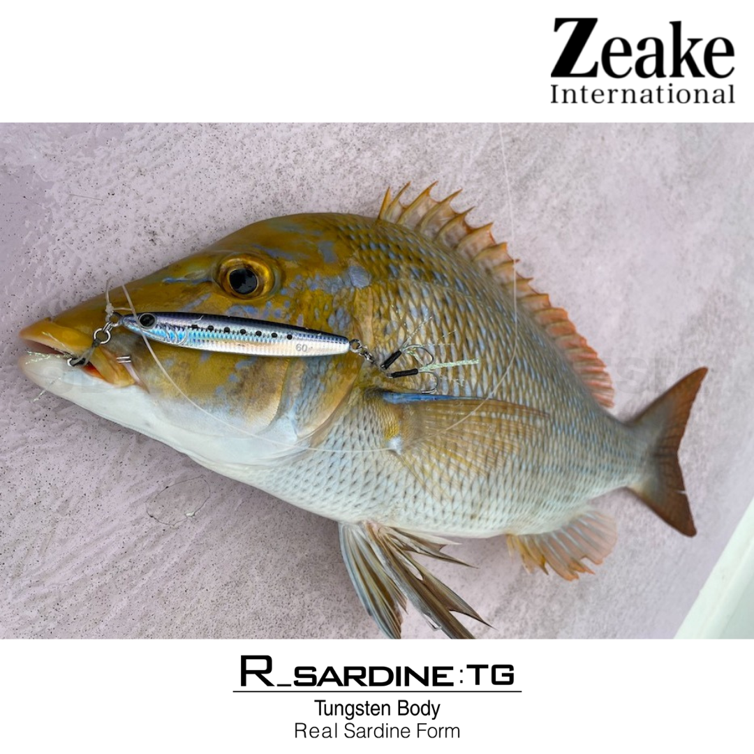 Zeake Metal Jig R Sardine TG