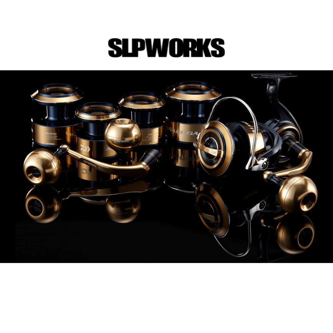 Set Pegangan Daya Daiwa SLP Works