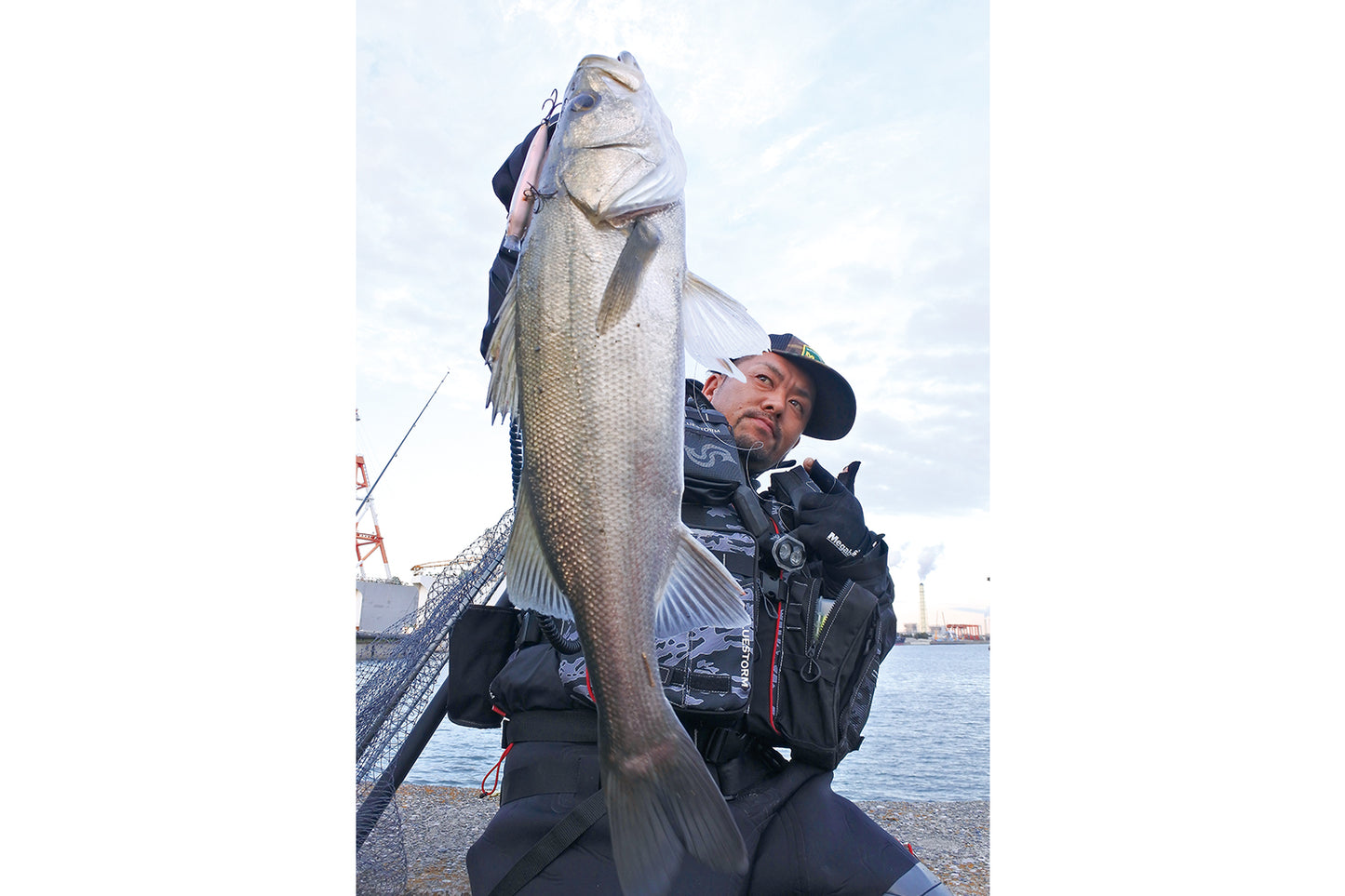 Megabass X-80 SW Slow Sinking Lure 11g 80.5mm