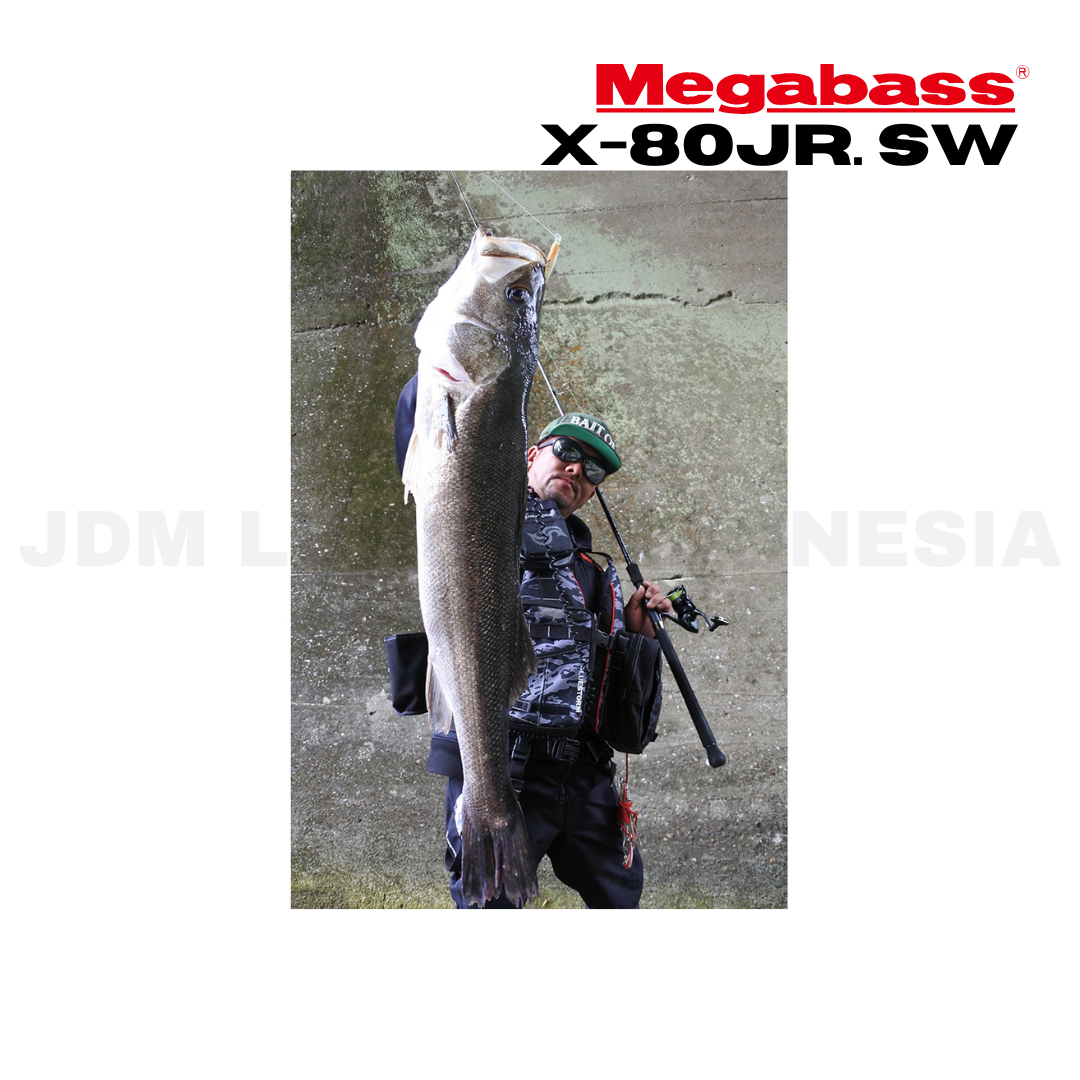 Megabass X-80Jr. SW Sinking Lure 6g 65mm
