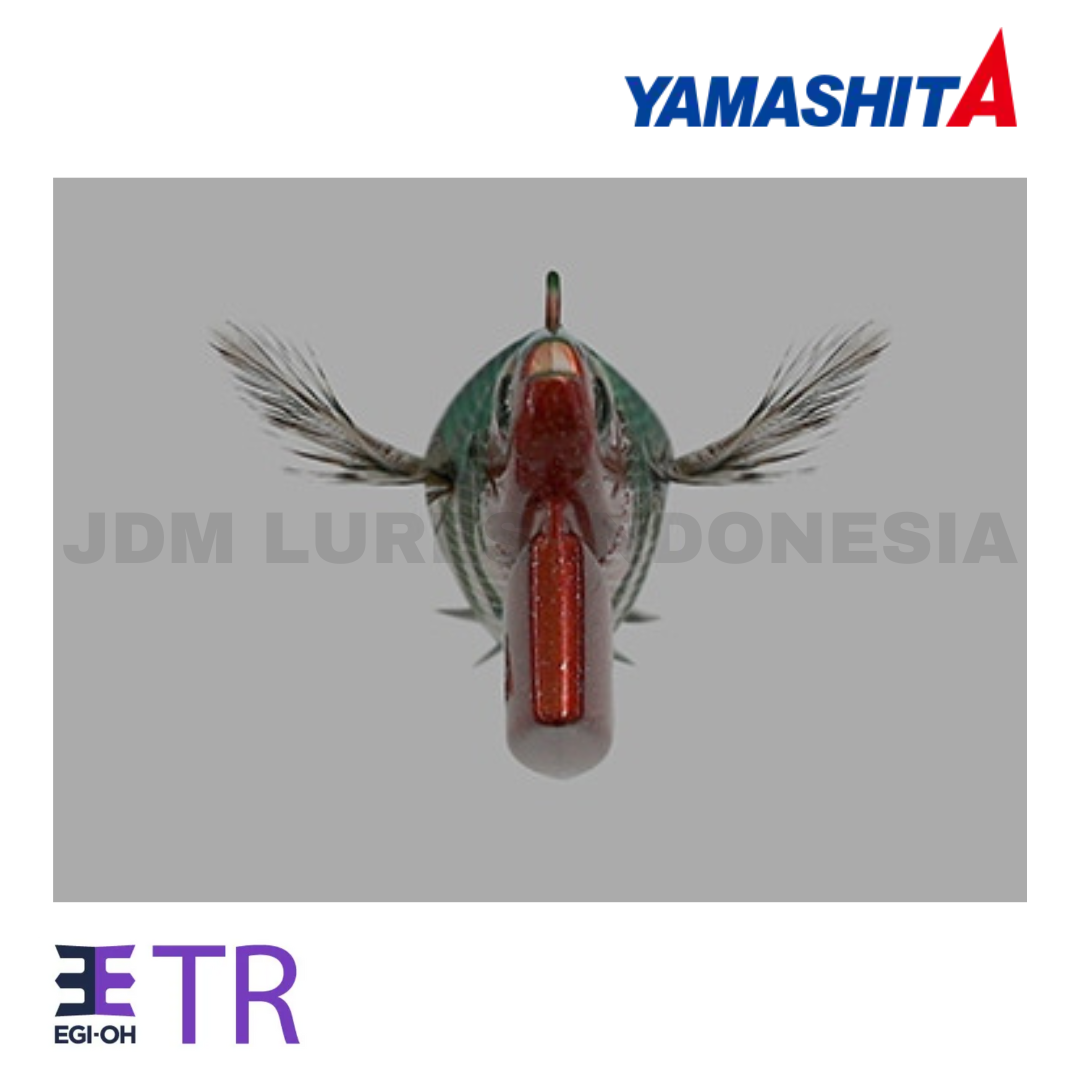 Yamashita Egi-OH TR Basic