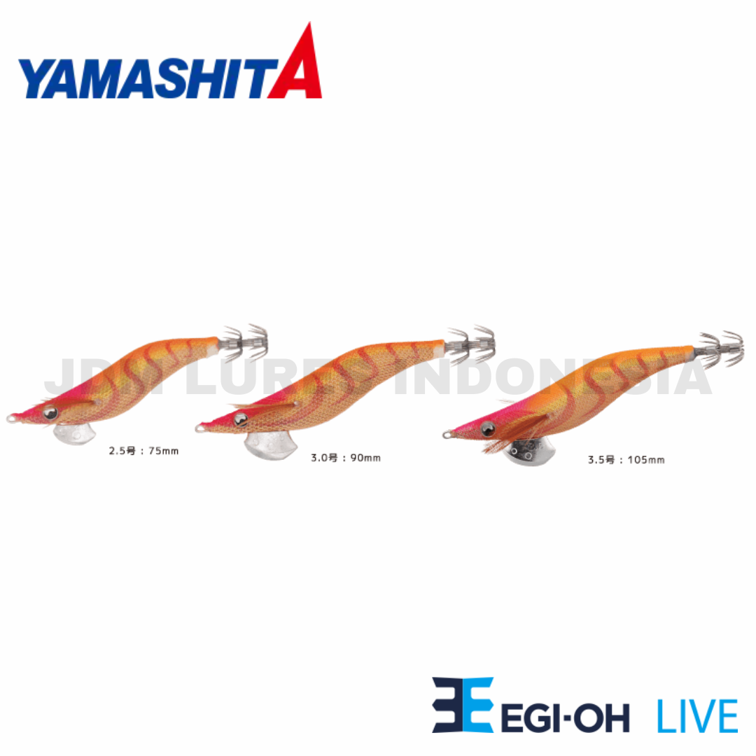 Yamashita Egi-OH Live Basic Standard