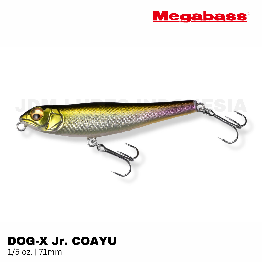 Megabass DOG-X Jr. COAYU Floating Lure 1/5oz 71mm