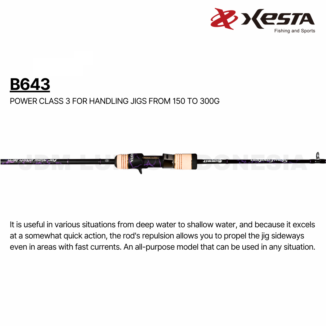 Xesta Baitcasting Rod Slow Emotion Summit Edition B643