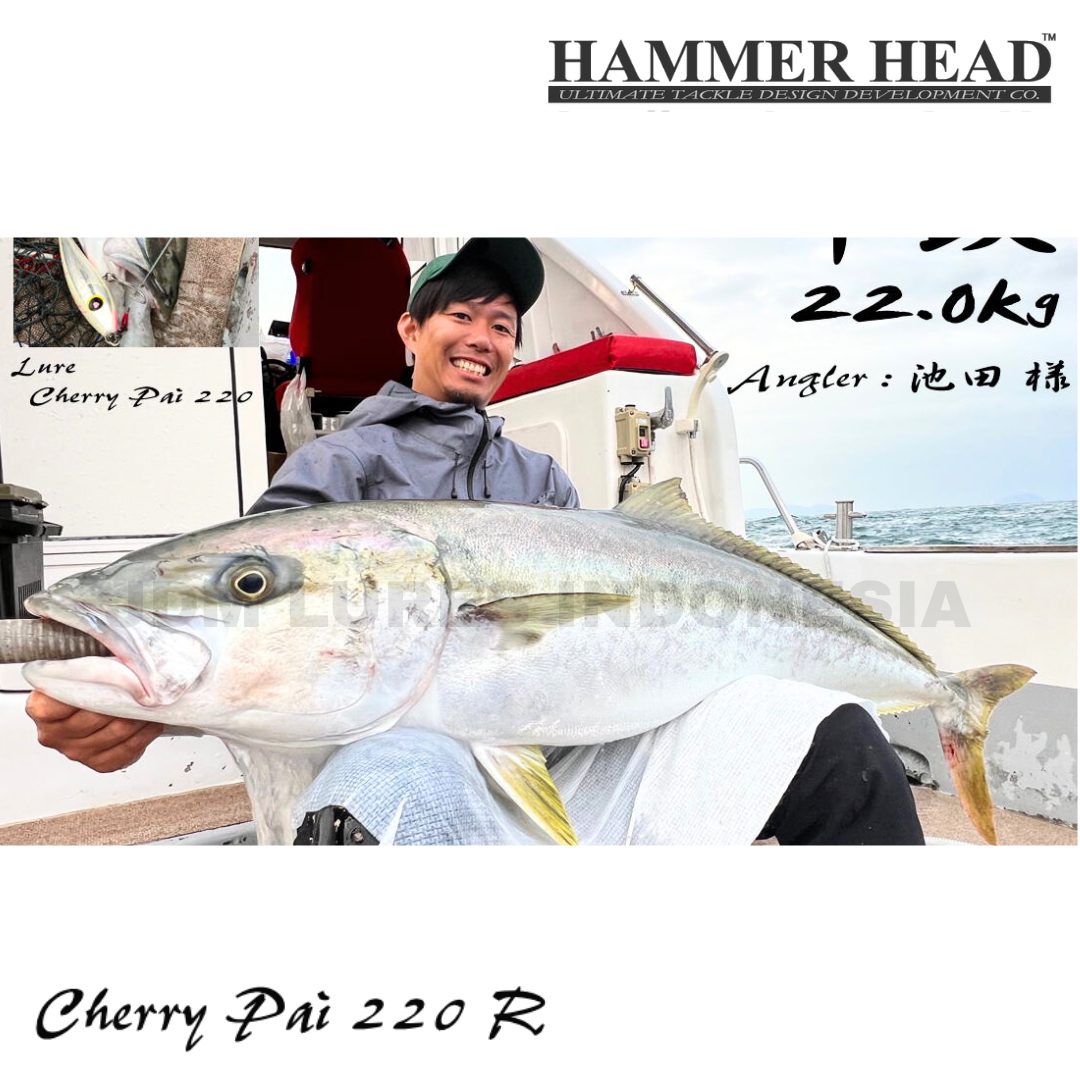 Hammer Head Cherry Pai 220R Stickbait Lure 104g 255mm