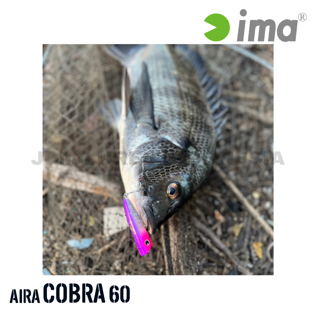 Ima Aira Cobra 60 Pencil Popper 7g 60mm