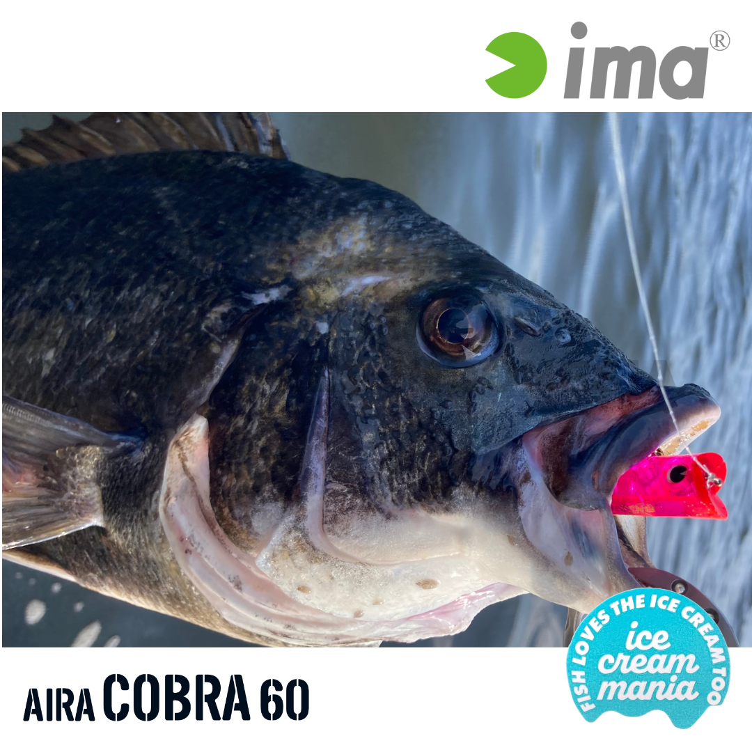 Ima Aira Cobra 60 Ice Cream Mania Pencil Popper 7g 60mm