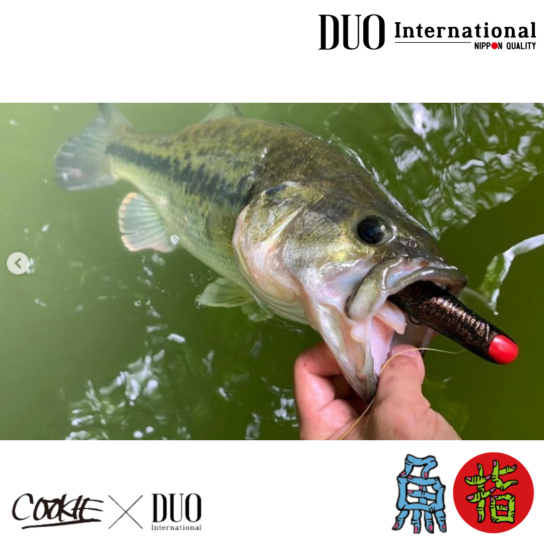Duo Kawanan Ikan Berkumpul di Jari 90mm 5 Warna Set