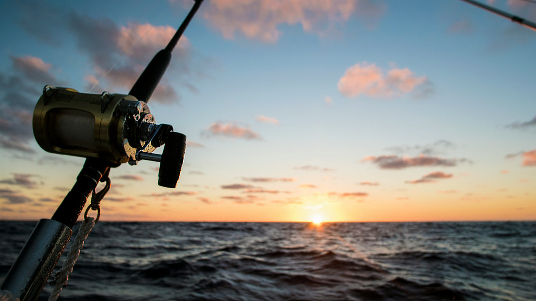 Top 5 Fishing Rods of 2024: Expert Reviews and Recommendations