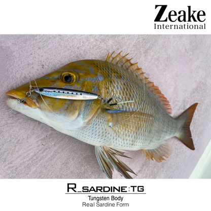 Zeake Metal Jig R Sardine TG