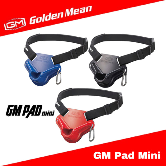 Bantalan Pertarungan GM Golden Mean Mini