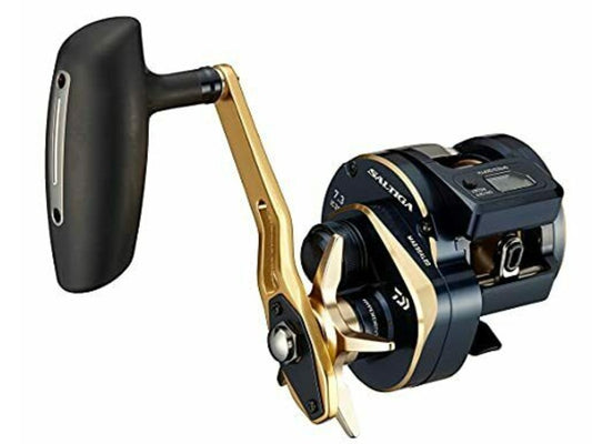 Umpan Casting Daiwa 21 SALTIGA IC 300H-SJ 4725