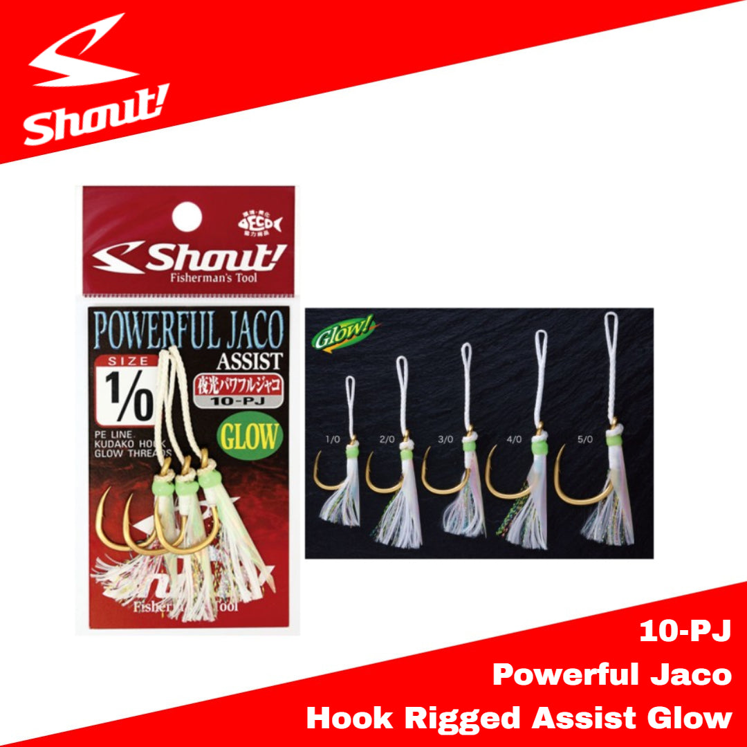 Teriak 10-PJ Jaco Hook yang Kuat, Bantuan yang Dipasang, Cahaya