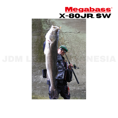 Megabass X-80Jr. SW Sinking Lure 6g 65mm