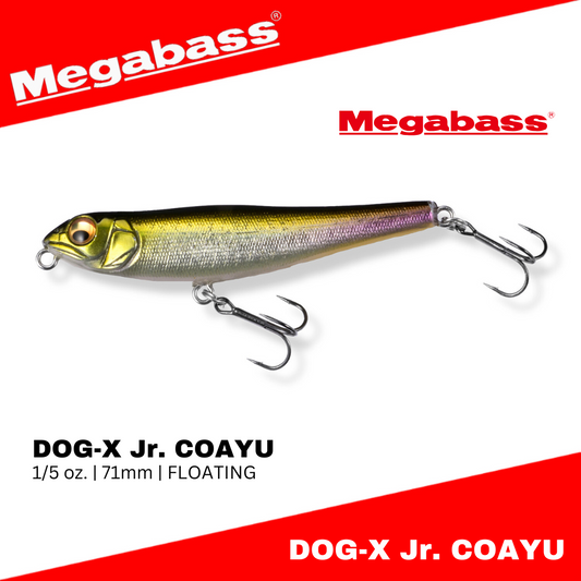 Megabass DOG-X Jr. COAYU Floating Lure 1/5oz 71mm