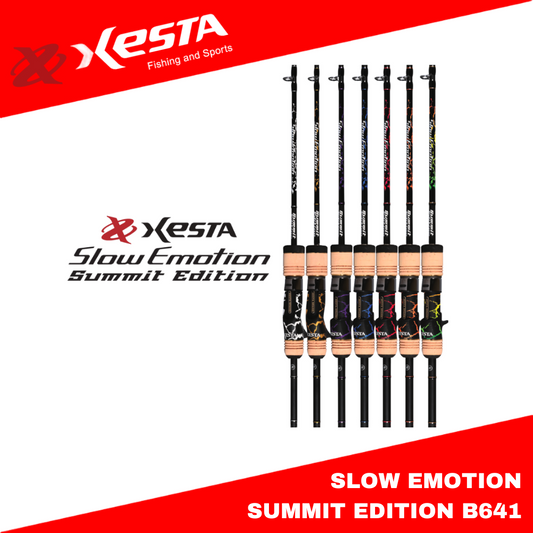Xesta Baitcasting Rod Slow Emotion Summit Edition B641