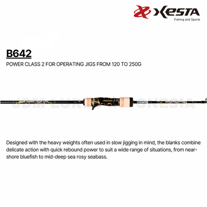 Xesta Baitcasting Rod Slow Emotion Summit Edition B642