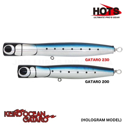 Hots Keiko Ocean Gataro Abalone Model Floating Popper 100g 230mm